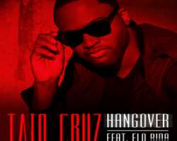 He also appeared in the music video for the songs like Hangover by Taio Cruz, and Dure Dure by Jencarios.